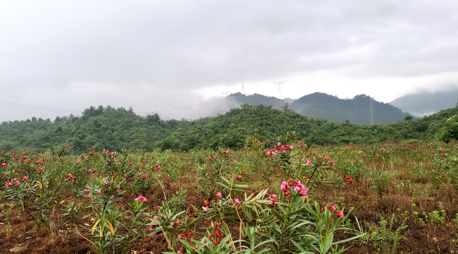 640 (2).png 640 (2).png